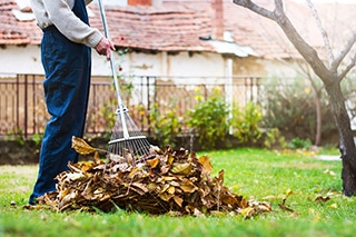 Yard Cleanup project example by Lillarians Contractor