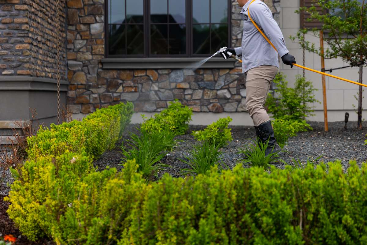 Tree & Shrub Care project example by Lillarians Contractor