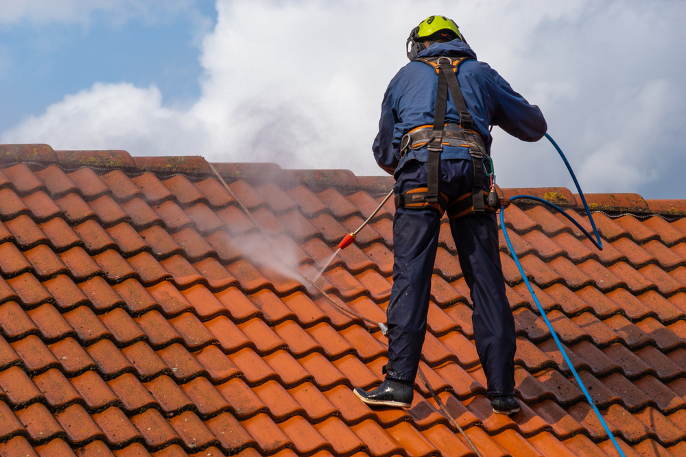 Roof Cleaning project example by Lillarians Contractor