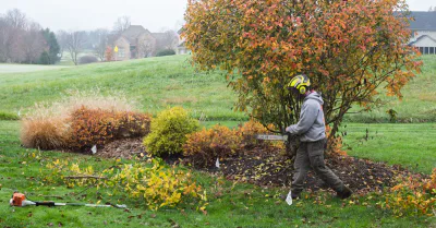 Bush Removal project example by Lillarians Contractor