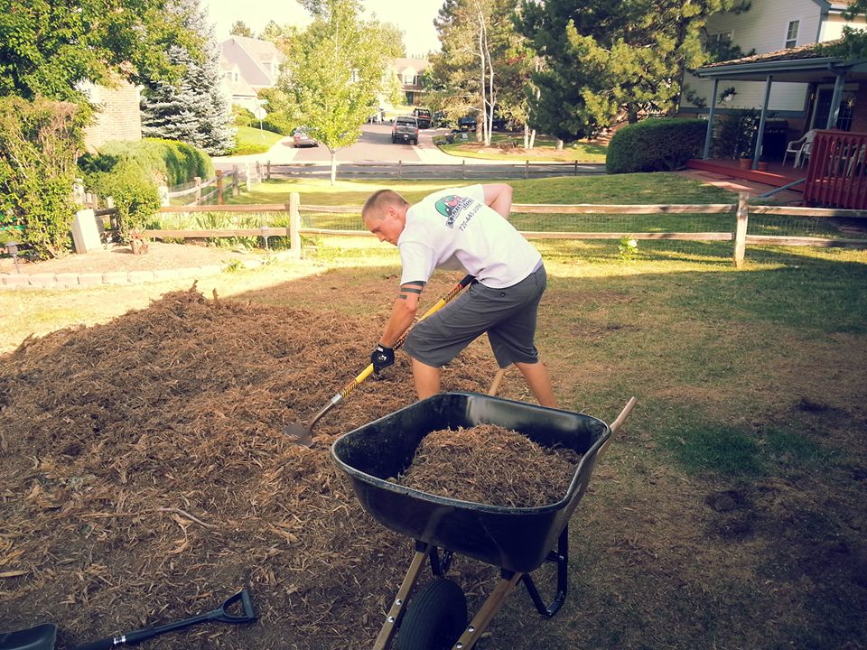 Yard Waste Removal project example by Lillarians Contractor