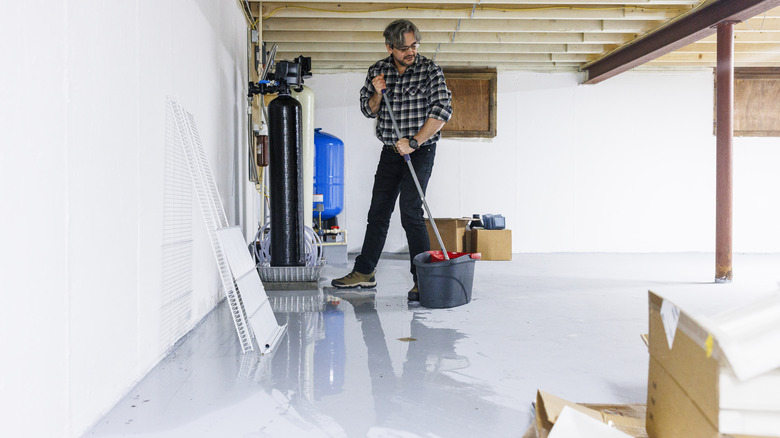 Basement Cleanout — professional junk removal & hauling in the DMV